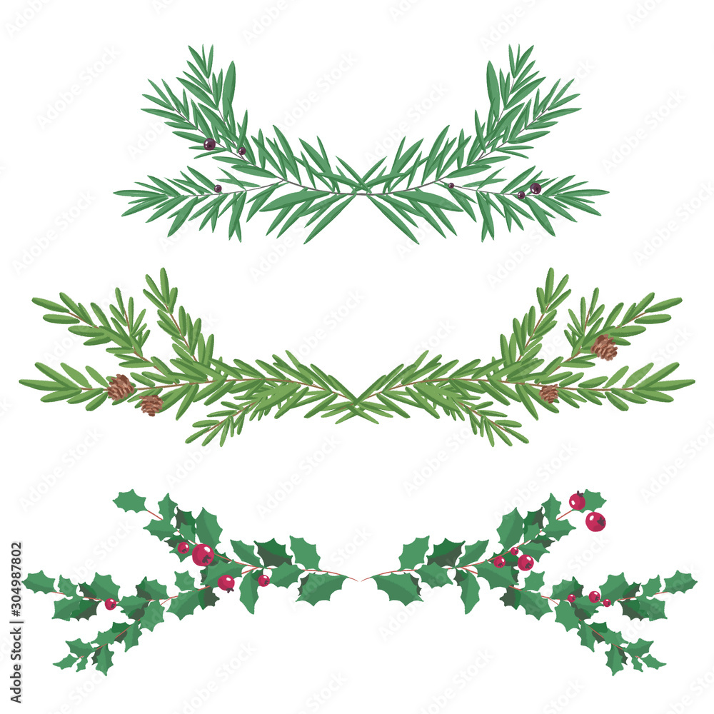 Decorative Floral Christmas Dividers  Fir and holly Branches. Holly berry, pine branch and cones. Decoration for traditional wreath on door to Christmas, New year. For greeting card, vignette, banner.