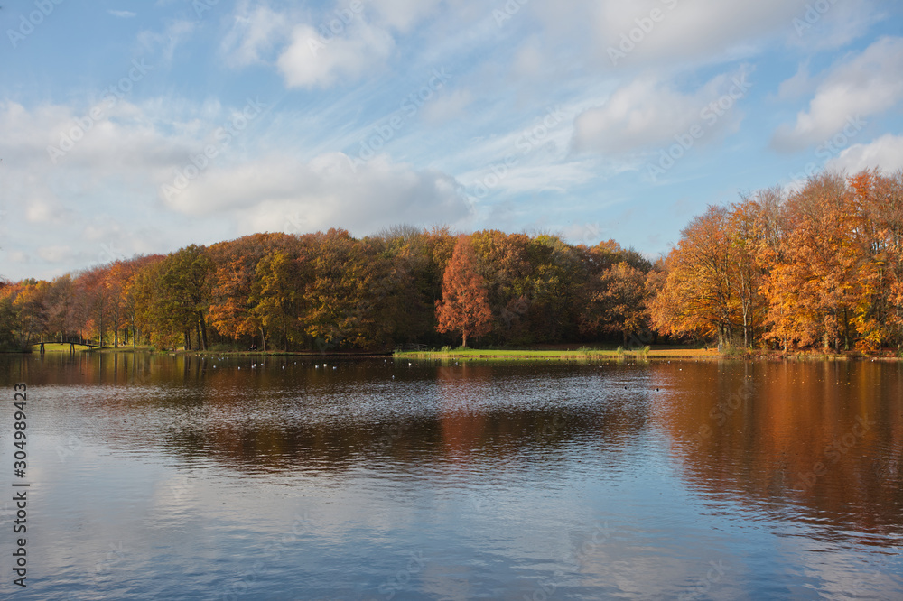 Autumn trees in forest called Haagse Bos in The Hague Netherlands on sunny day with blue sky and water Autumn trees in forest called Haagse Bos in The Hague Netherlands on sunny day with blue sky and water