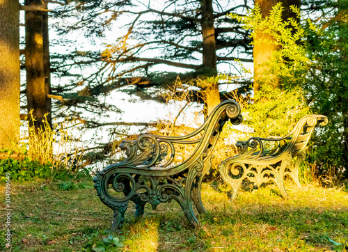 A bench in the park, Chail Palace, Himachal Pradesh, India