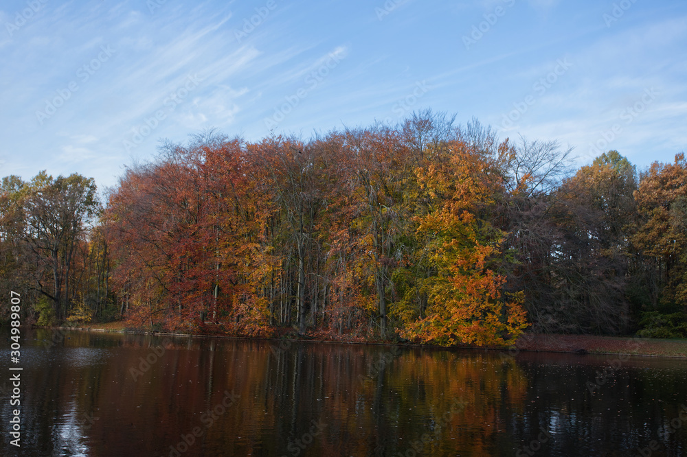 Autumn trees in forest called Haagse Bos in The Hague Netherlands on sunny day with blue sky and water Autumn trees in forest called Haagse Bos in The Hague Netherlands on sunny day with blue sky and water