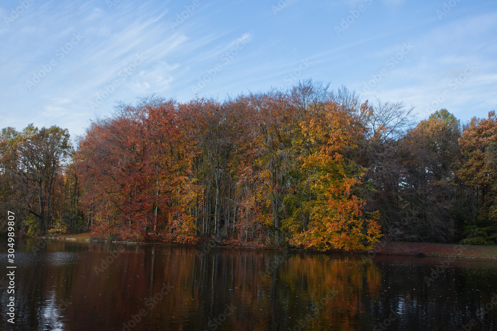 Autumn trees in forest called Haagse Bos in The Hague Netherlands on sunny day with blue sky and water