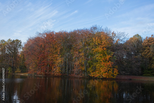 Autumn trees in forest called Haagse Bos in The Hague Netherlands on sunny day with blue sky and water