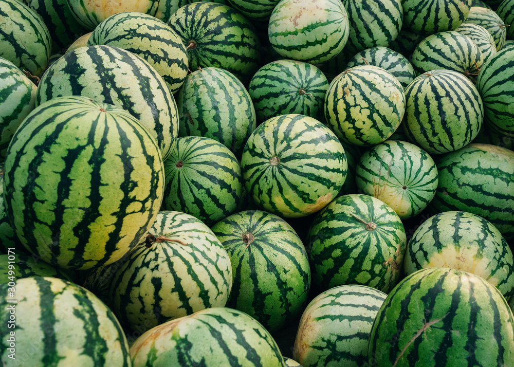 Many sweet green watermelons with black stripes Many sweet green watermelons with black stripes