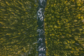 Wandcirkels Olijfgroen Luchtfoto naaldbos en rivier Finland  © EVERST