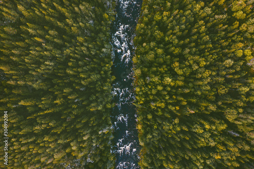 Aerial view coniferous forest and river landscape travel wilderness scenery in Finland scandinavian nature top down