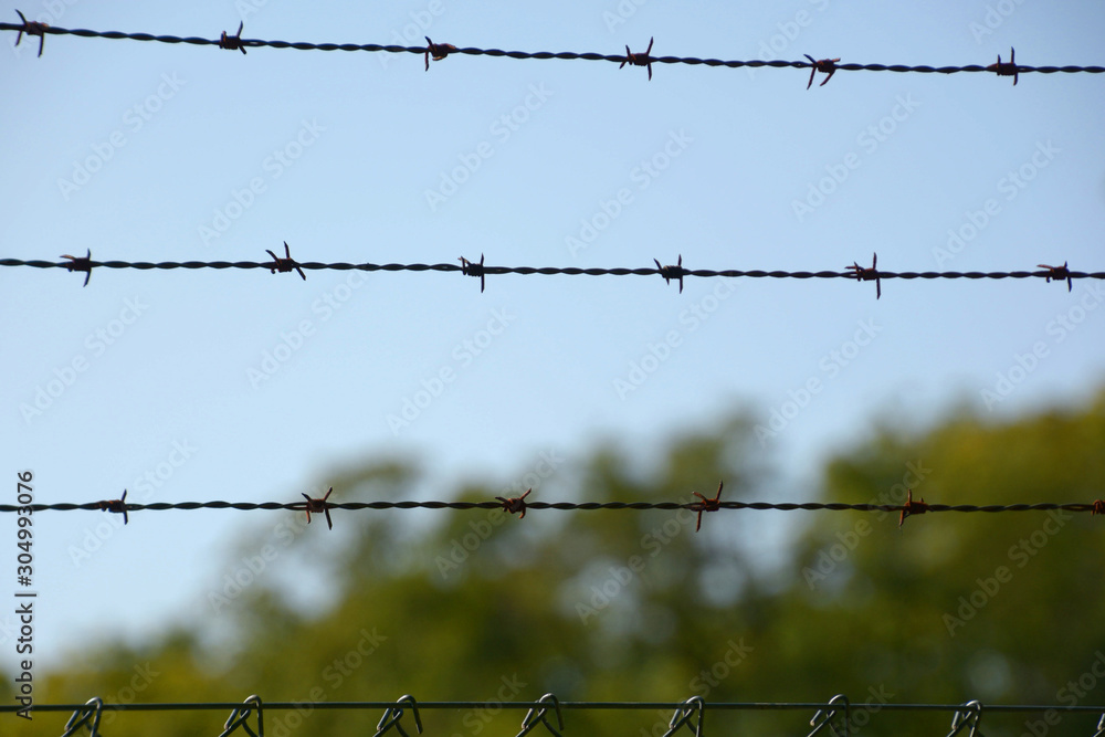 close-up of barbed wire fence, security barbed wire close-up of barbed wire fence, security barbed wire