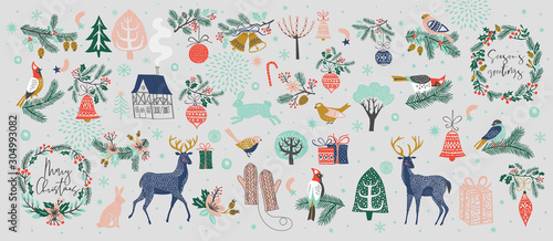 Christmas collection of decorative winter elements