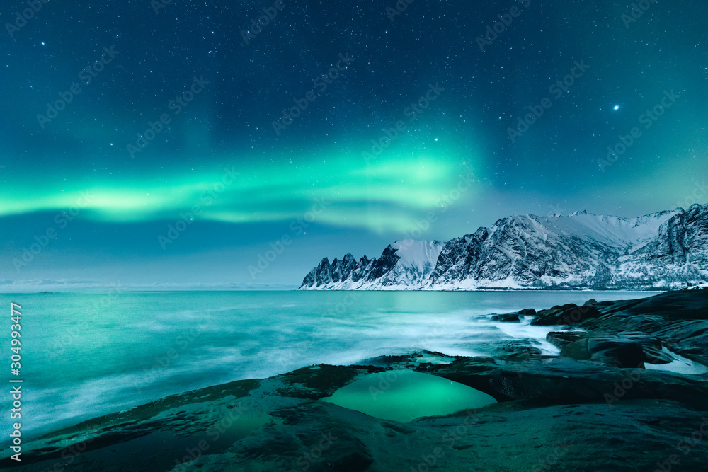 Magical Northern Lights Aurora in starry night on Lofoten Islands in Norway. Amazing winter landscape.