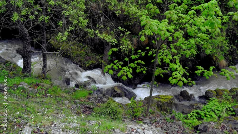 creek in the mountains, Stream Water and Rocks, aerial view of mountain stream, mountain river rapids creek in the mountains, Stream Water and Rocks, aerial view of mountain stream, mountain river rapids