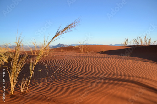 Desert