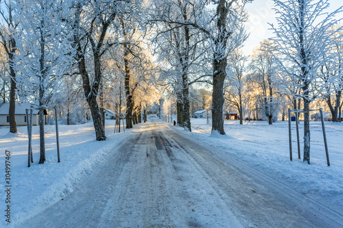 Slippery winter road through a tree avenue against a farm