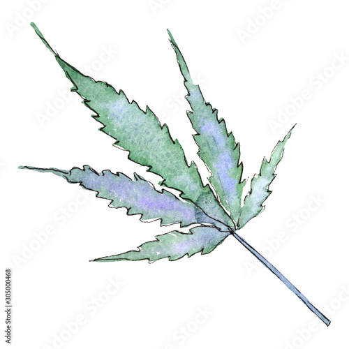 Cannabis green leaves. Watercolor background illustration set. Isolated cannabis illustration element.