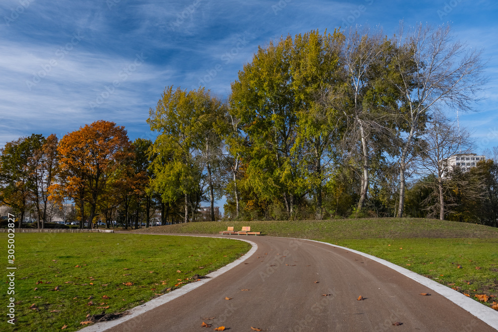 Fototapeta premium road in autumn