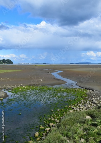 Estuary landscape, low tide with rain clouds overhead, Courtenay Vancouver Island, BC Canada