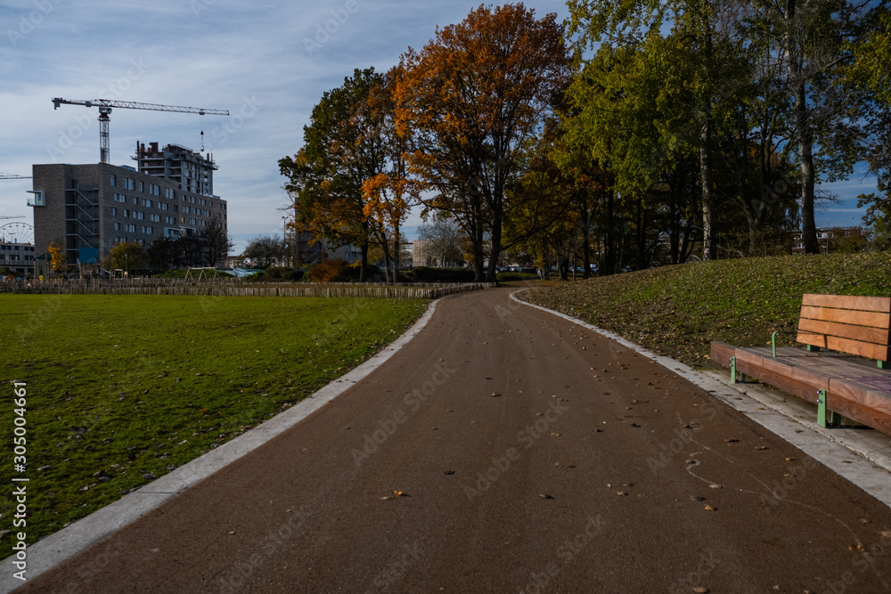 road in autumn