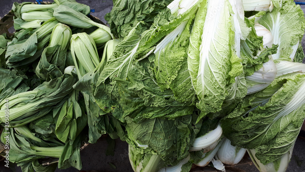 Chinese cabbage nappa napa bok choy pile inside basket fresh from farm green white color Chinese cabbage nappa napa bok choy pile inside basket fresh from farm green white color