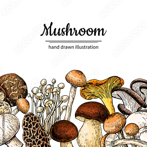 Mushroom hand drawn vector frame. Isolated Sketch organic food drawing template.