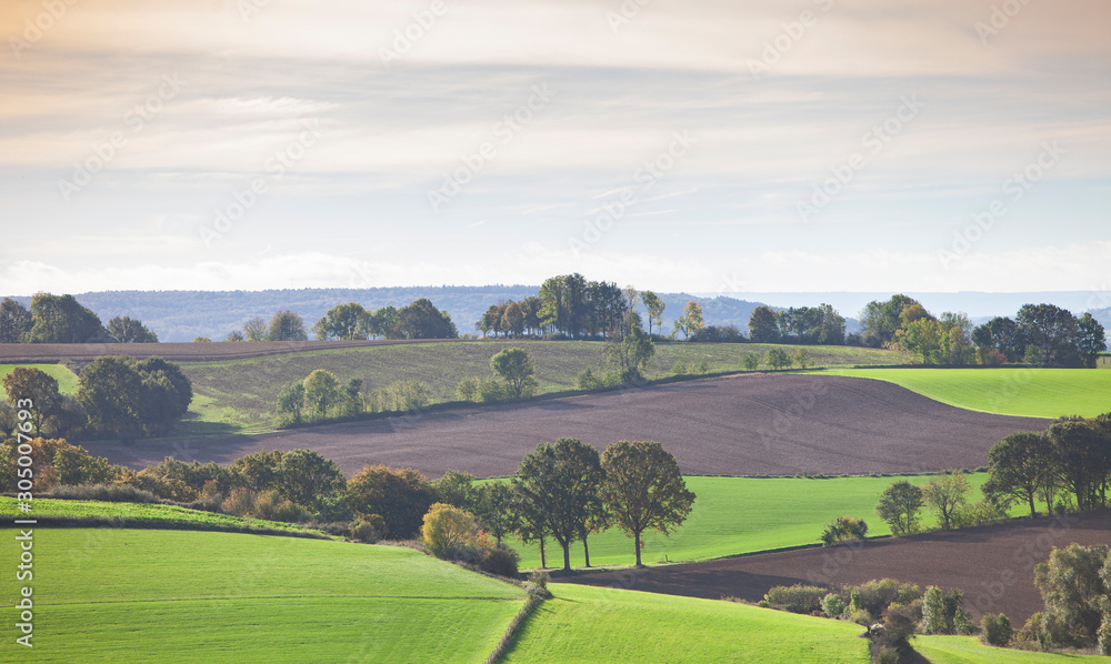 Naklejka premium landscape with fields and meadows in dutch province of south limburg