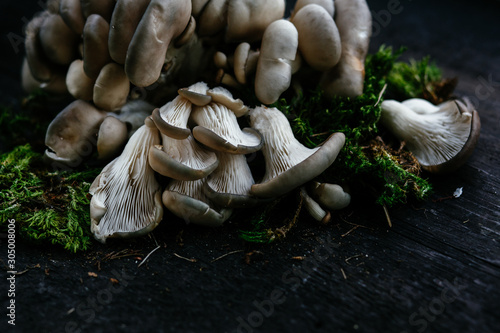 Oyster mushrooms lie on a dark wooden table
