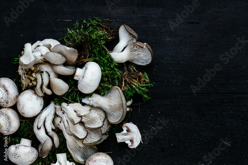 Oyster mushrooms lie on a dark wooden table