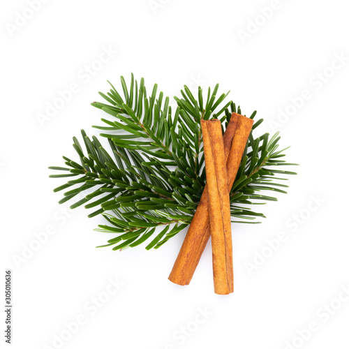 Pine cones and fir tree branch on a white background.