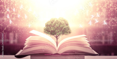  The blurred book that is bewitched with magic, the magic light in the dark, with the bright light shining down as the power to search for knowledge. For research and use as a blurred background © Ping198