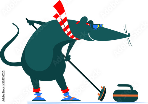 Fototapeta Rat or mouse plays curling illustration