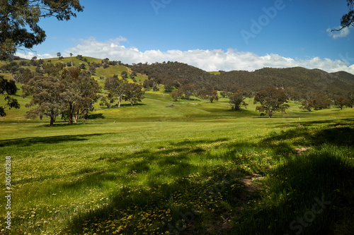 Greener pastures in Wee Jasper, New South Wales border, Australia