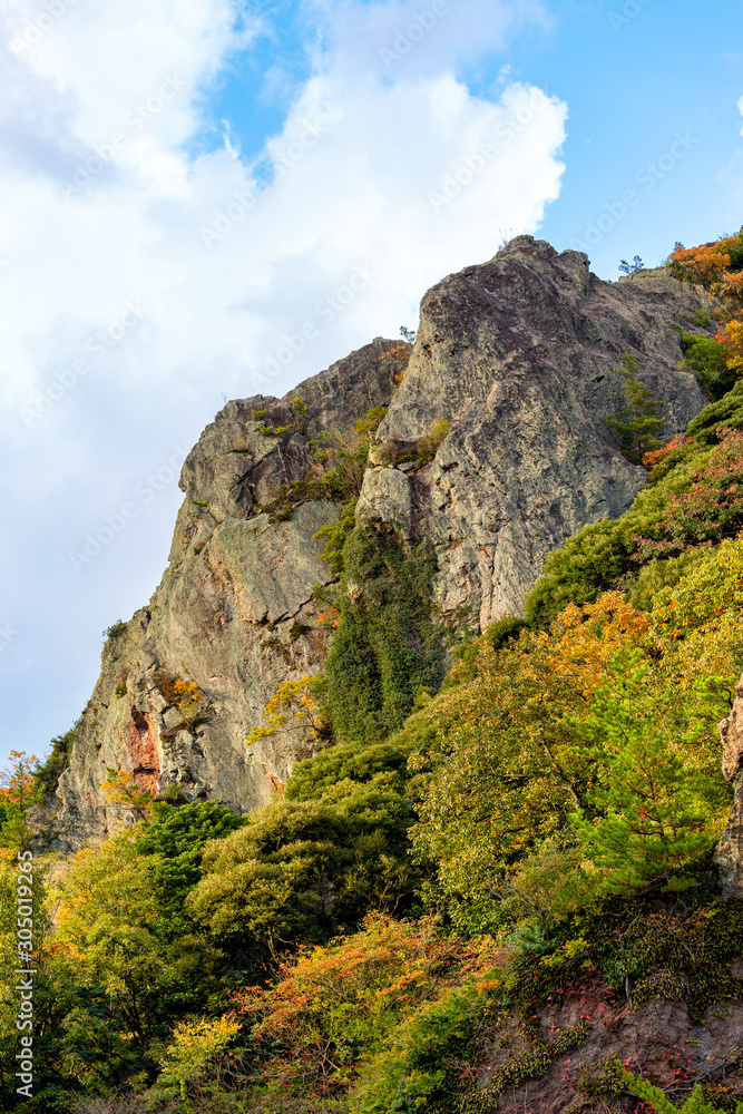 Naklejka premium 石見城跡 竜嵓山 ruin of castle