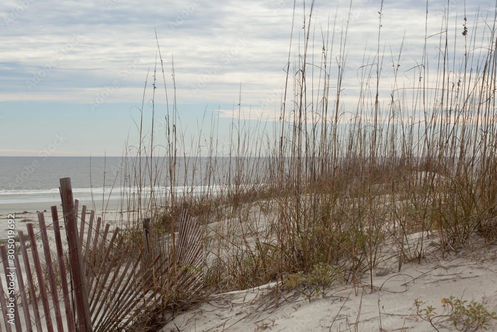 Beach with sand and sea oats Beach with sand and sea oats