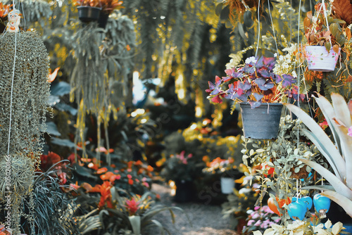 Tree shop