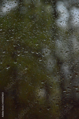 Rain drops on the window with forest background