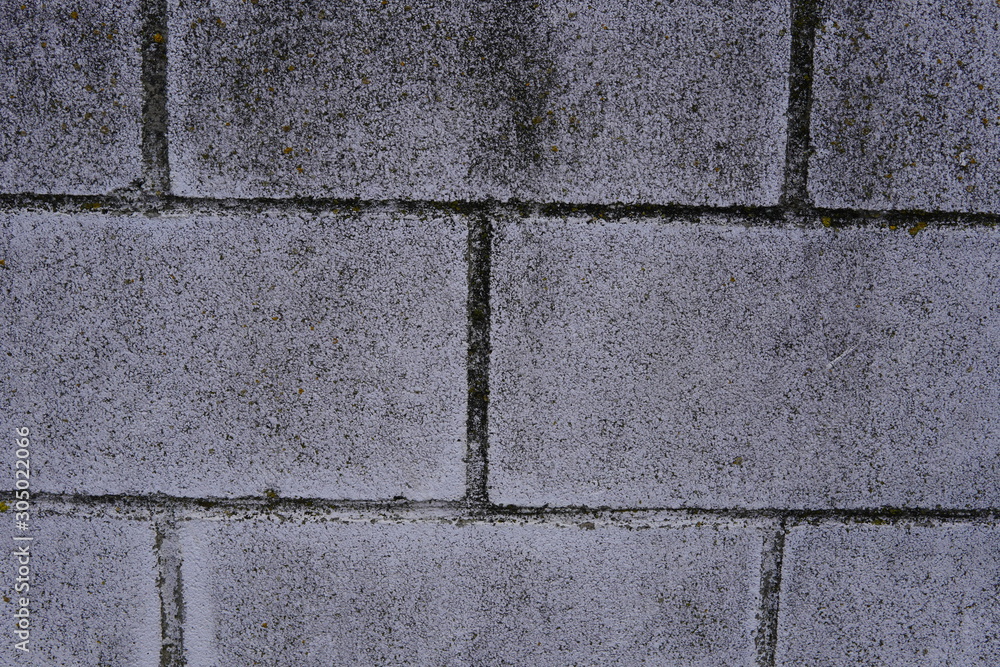 Fototapeta premium Textura ladrillos muro