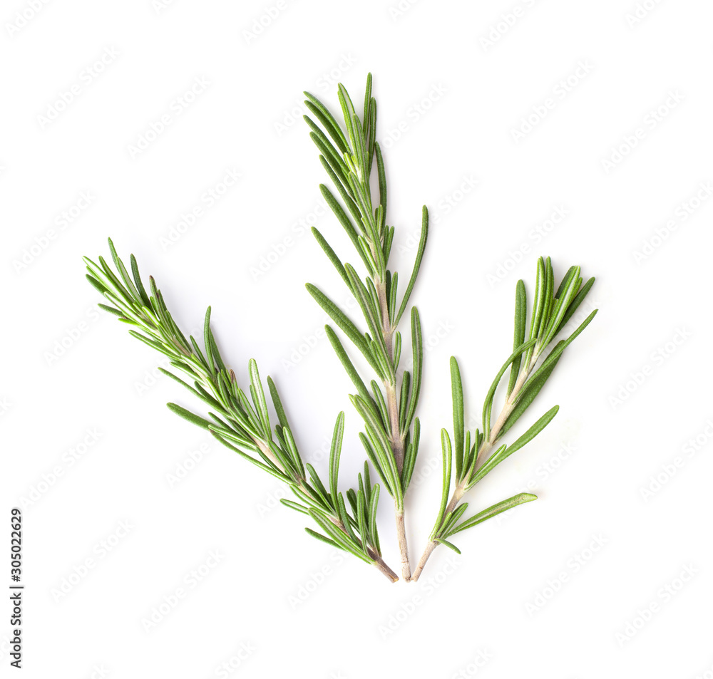 Fototapeta premium Rosemary isolated on white background, Top view.