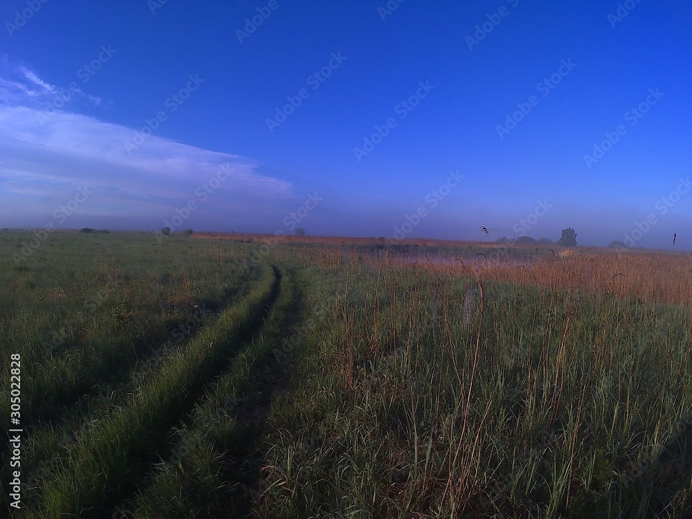 Obraz premium Field road through thick grass