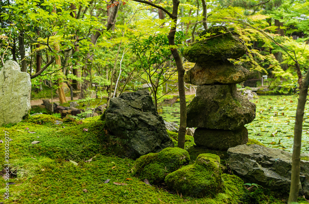 苔の生える日本庭園 京都 南禅寺 Stock Photo Adobe Stock