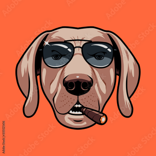 COOL DOG 3