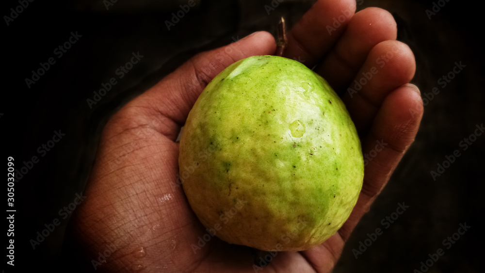 Guava fruit isolated on the white background. Guava fruit isolated on the white background.