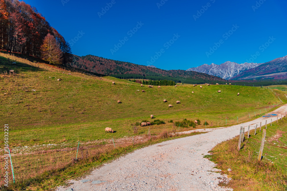 road in mountains road in mountains