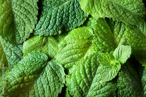 Obraz liście mięty