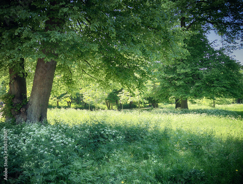 Photography Frederiksberg gardens - Copenhagen, Denmark