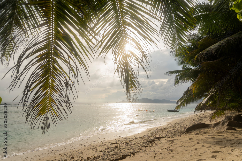 peaceful holiday paradise concept with a beautiful beach on the seychelles with palm tree leaves during sunset