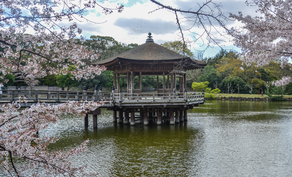 Ukimido Gazebo during cherry blossom in Nara Park Ukimido Gazebo during cherry blossom in Nara Park