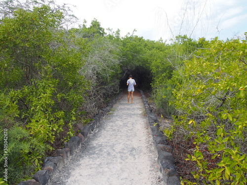 A woman walking in nature, Isabela Island (Isla Isabela) is one of the Galápagos Islands, Ecuador