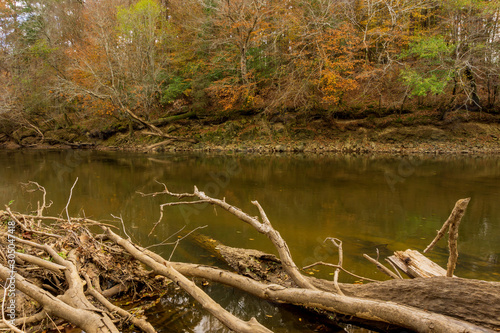 Logs accumulate on a river in autumn with extensive erosion.