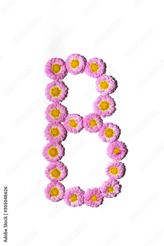 Chrysanthemum Alphabet Chrysanthemum Alphabet