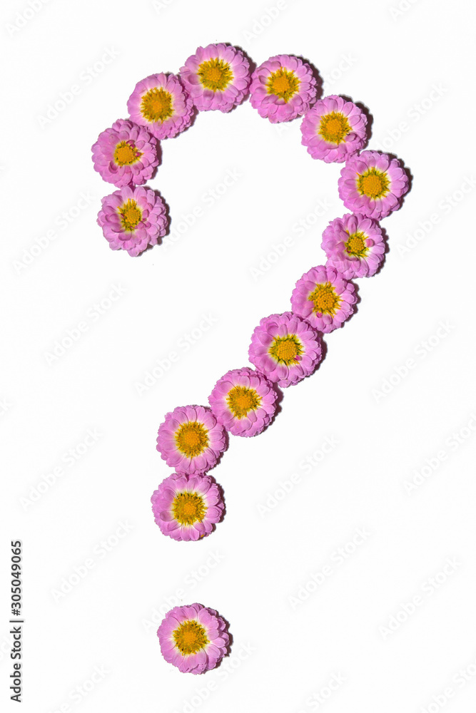 Chrysanthemum Alphabet