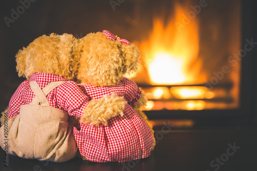 Teddy bears in  fireplace photo