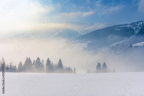 blizzard in mountains. magic scenery with clouds and fog on a sunny winter day. trees in mist on a snow covered meadow. borzhava ridge in the distance. cold weather approaching
