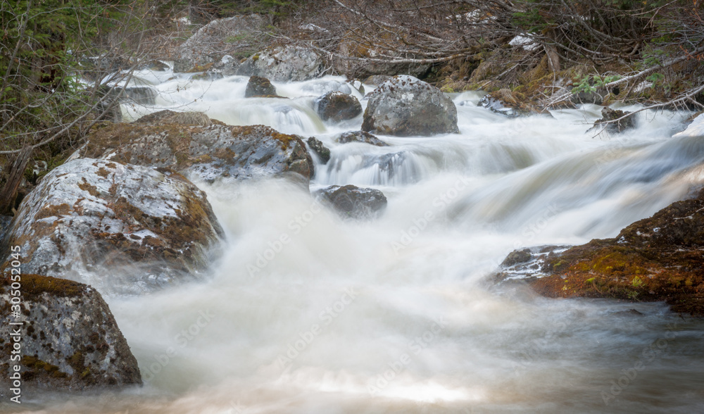Torrent of the Wilderness Creek Torrent of the Wilderness Creek